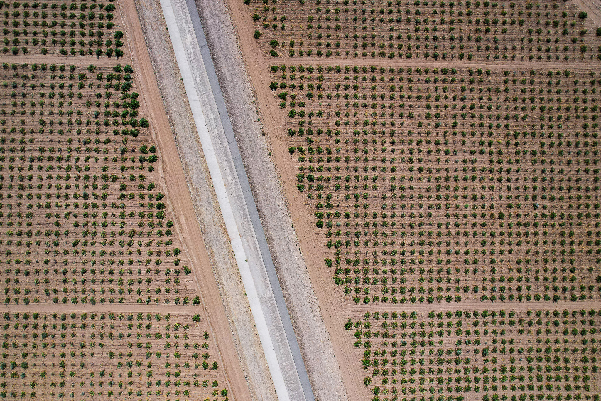 road-through-grapevines