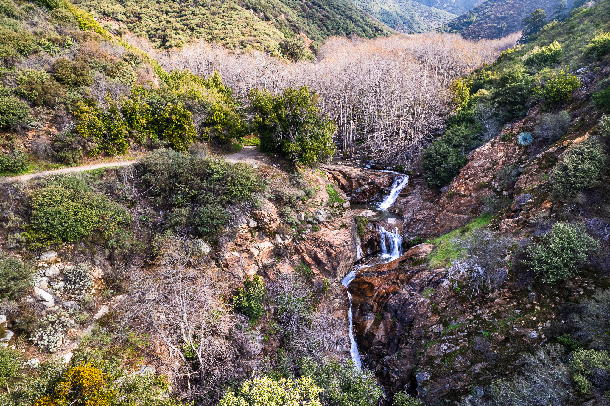 etiwanda-preserve-waterfall